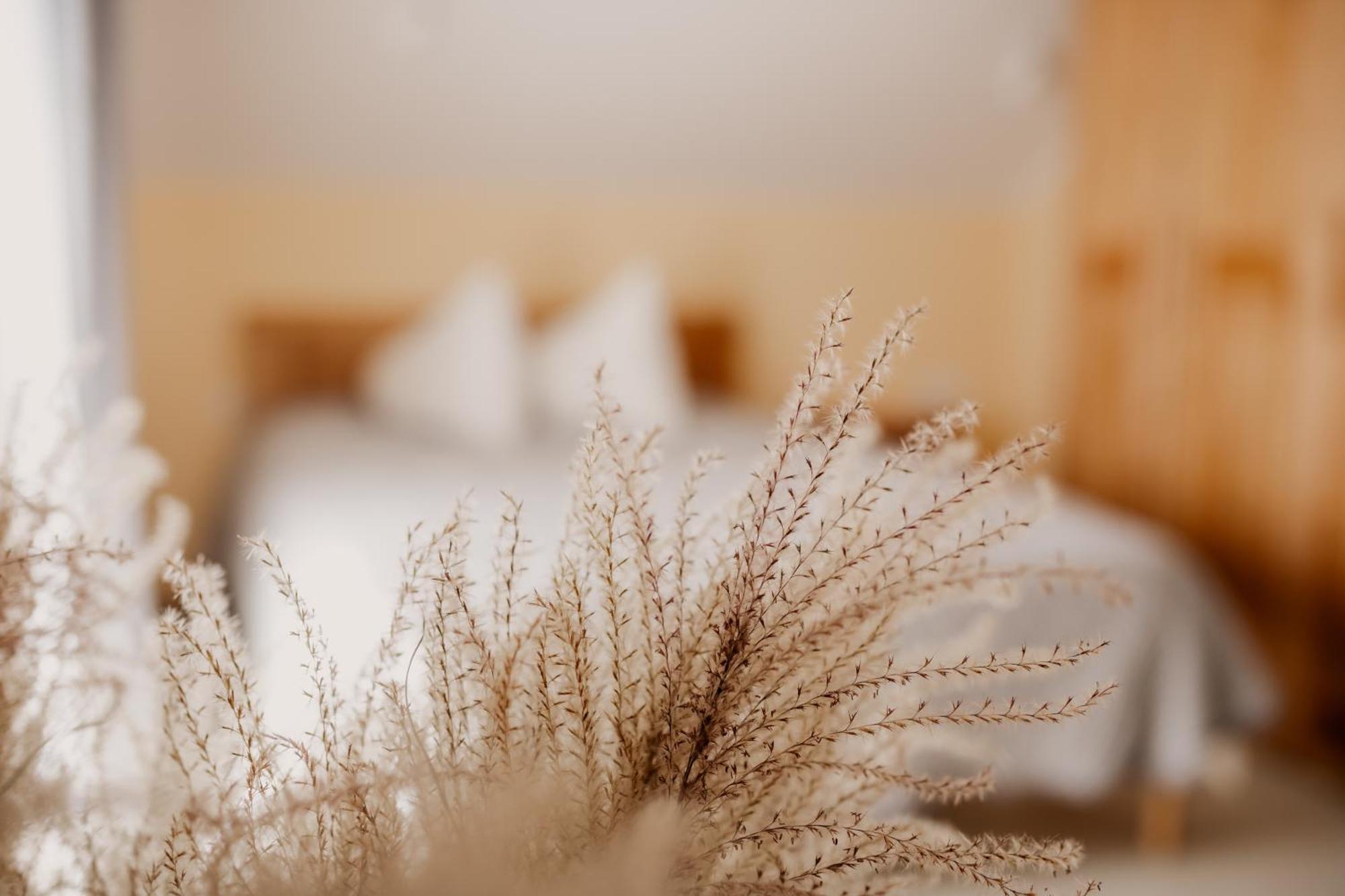 Saules Iela 2A Aparthotel Saldus Szoba fotó